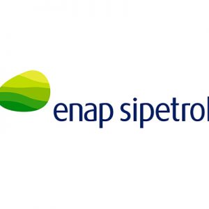 enapsipetrol
